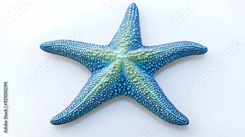 Vibrant Blue and Green Starfish on a White Background