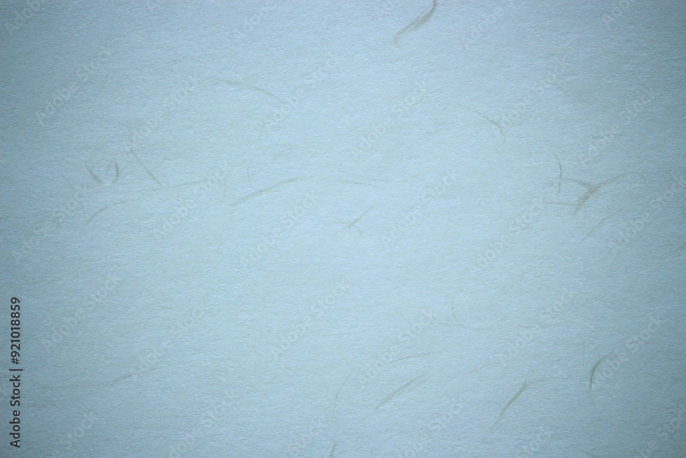 Obraz premium 背景用テクスチャ和風