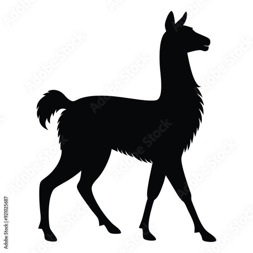 Illustration of Walking Llama silhouette isolated 