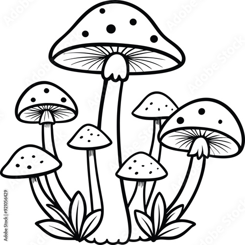 group of mushrooms line art illustration