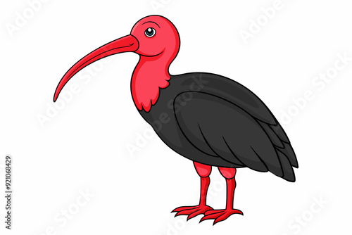 Northern Bald Ibis Bird Vector Illustration Kawaii Clipart photo