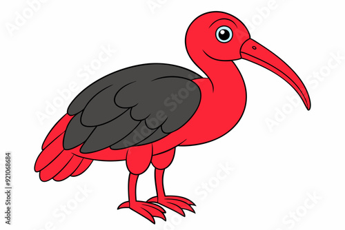 Northern Bald Ibis Bird Vector Illustration Kawaii Clipart photo