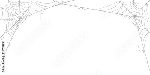 Vector Cobwebs Background
