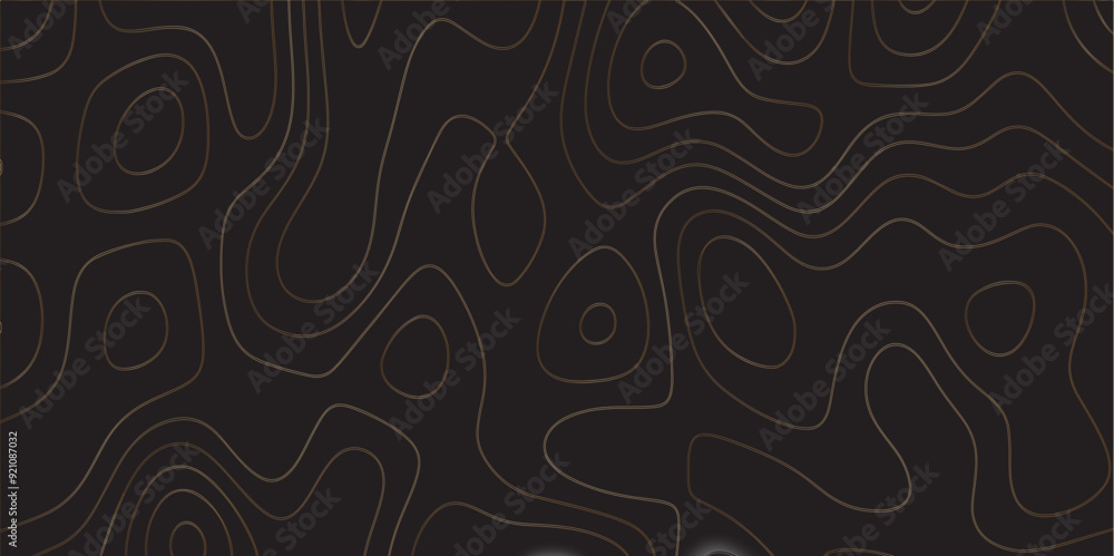 Abstract design with black and white abstract papercut and multi-layer cutout geometric pattern on vector Topographic canyon geometric map relief texture with curved layers beautiful design. Abstract design with black and white abstract papercut and multi-layer cutout geometric pattern on vector Topographic canyon geometric map relief texture with curved layers beautiful design.