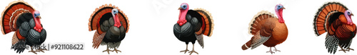  Autumn Thanksgiving border with turkey . Autumn decorations.  Set of turkeys.Autumn Thanksgiving seamless border.