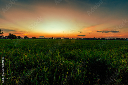 Nature Wallpaper (Mountains, Green Fields, Roadside Accommodation, Twilight Sky) The beauty of nature while traveling, with the wind blowing through the blurred leaves.