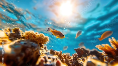 An entrancing underwater scene showcasing vibrant fish swimming among colorful corals and reef, highlighting the beauty and diversity of marine life in a clear ocean setting. photo