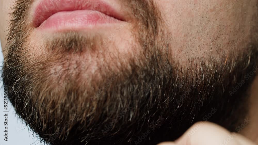 Smiling man portrait, Close up head shot portrait of middle aged bearded male with healthy white toothy smile looking at camera. Smiling man portrait, Close up head shot portrait of middle aged bearded male with healthy white toothy smile looking at camera.