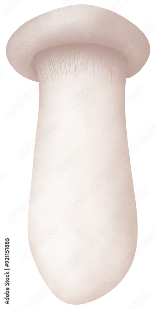 Includes hand-drawn white mushrooms, does not use AI, uses watercolors. Includes hand-drawn white mushrooms, does not use AI, uses watercolors.