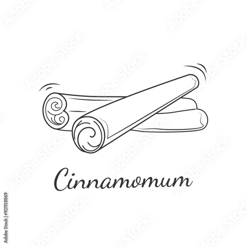 Cinnamon sticks. Spices obtained from the bark of trees of the genus Cinnamomum. Christmas. Vector illustration of food in doodle style.