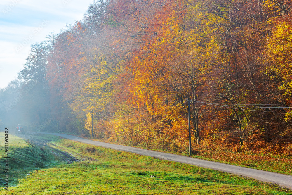 old asphalt road through the misty valley. forest with colorful foliage in morning light. beautiful countryside landscape