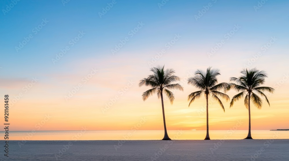 A serene beach at sunset, with palm trees silhouetted against the sky A serene beach at sunset, with palm trees silhouetted against the sky