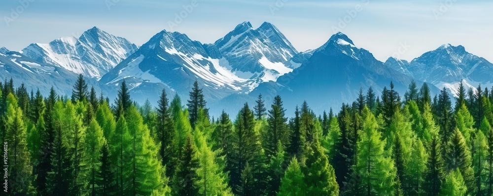 Fototapeta premium Alpine forest with snowcapped peaks and wildlife, highaltitude ecosystem, rugged beauty
