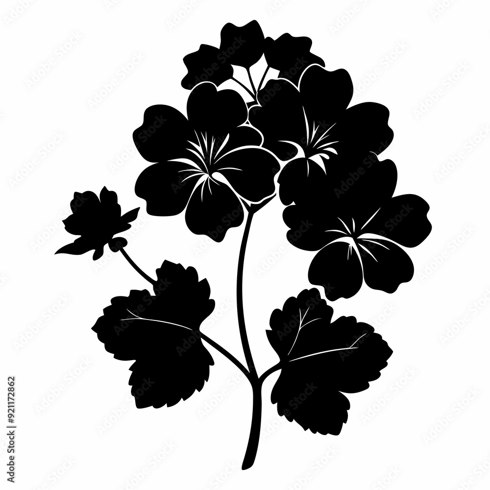 Geranium Black silhouette Geranium Black silhouette
