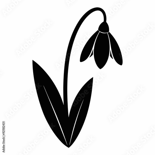 Snowdrop Black silhouette