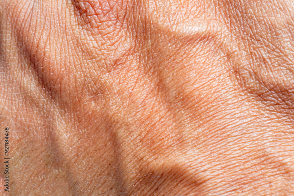 Fototapeta premium Macro human skin texture,Macro human hand skin,Macro human hand texture,The texture of the skin of a human hand