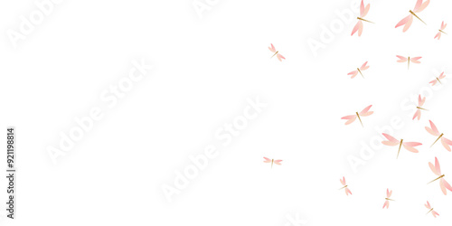 Fairy rosy pink dragonfly isolated vector wallpaper. Summer beautiful damselflies. Decorative dragonfly isolated dreamy background. Sensitive wings insects graphic design. Nature creatures