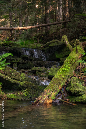 Brenna Dzikie Wodospady