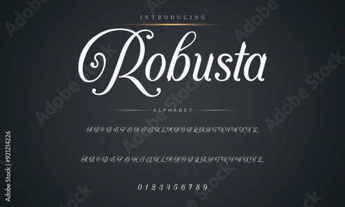 Calligraphy Signature Font Handwritten script brush font type for logotypes