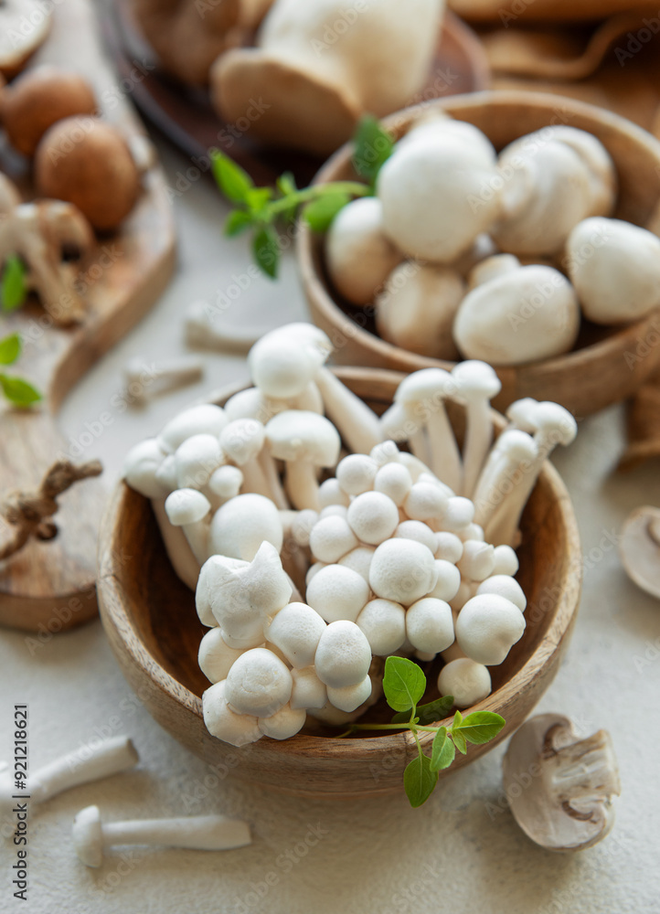 Assortment of various raw mushrooms on gray concrete background. Assortment of various raw mushrooms on gray concrete background.