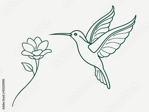 continuous single line drawing of hummingbird hovering while feeding at flower, line art vector illustration
