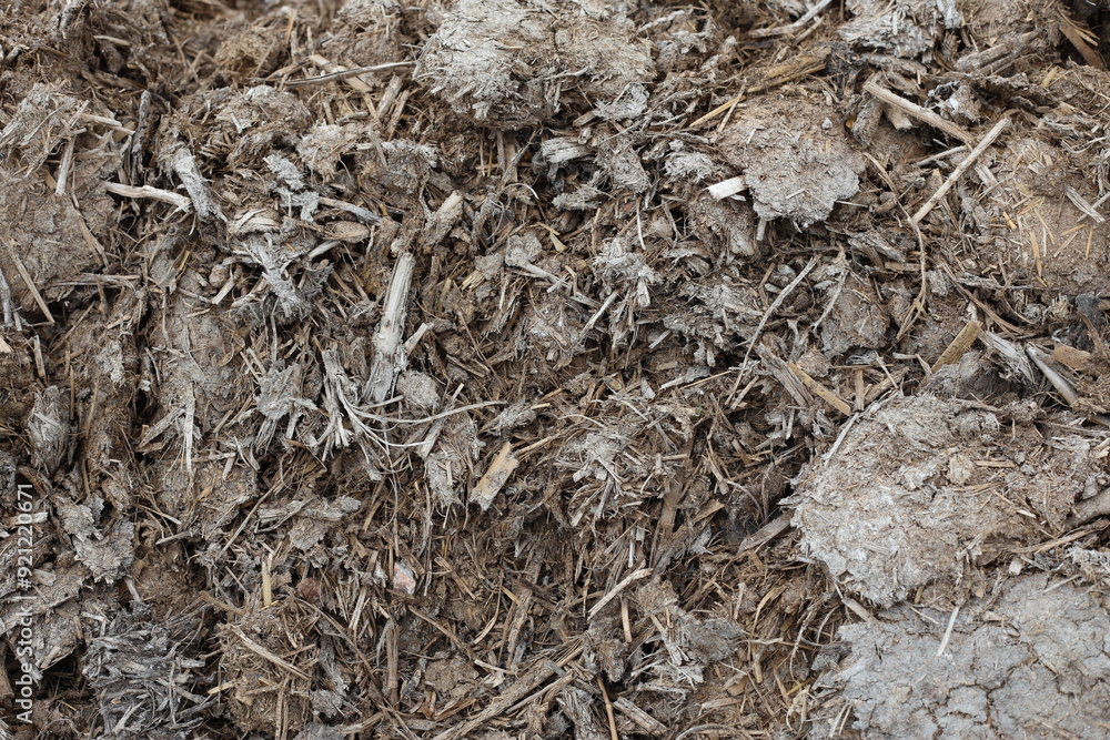 decomposed cow dung compost in the farm decomposed cow dung compost in the farm