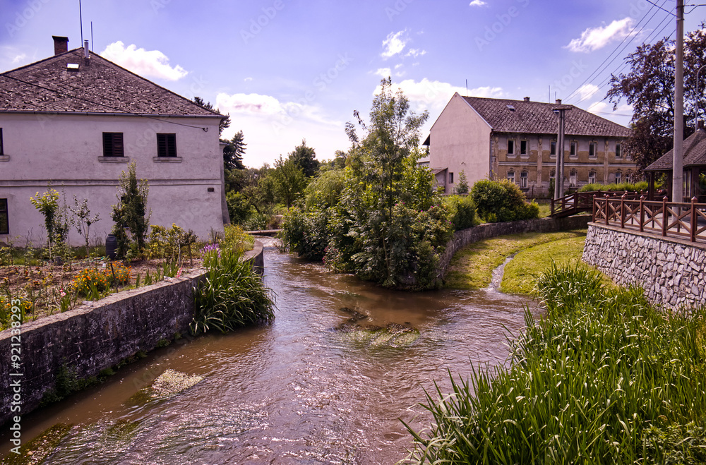 River flowing through the village. A small stream flowing into a river. Family houses on the river bank. Stony river bed. Aquatic plants. Trees and sky with clouds. River flowing through the village. A small stream flowing into a river. Family houses on the river bank. Stony river bed. Aquatic plants. Trees and sky with clouds.