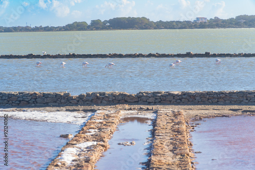 Formentera: Estany Pudent laguna salina que permite observar naturaleza, aves, y pasear por su entorno en un recorrido a pie, o en bici. Flamencos