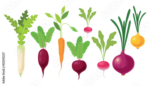 Set healthy vegetables and plants in cartoon style. Vector illustration of tasty vegetables, root crops, plants: white and red radishes, red beets, carrots, onions, isolated on a white background.