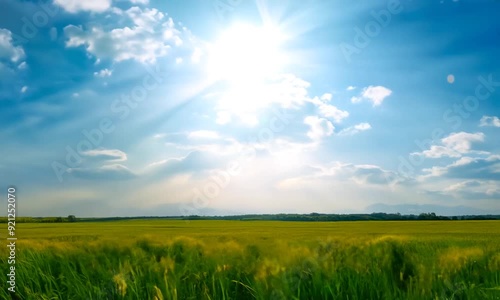 A lush, green field under an intense sun that shines through white, fluffy clouds in a bright blue sky.