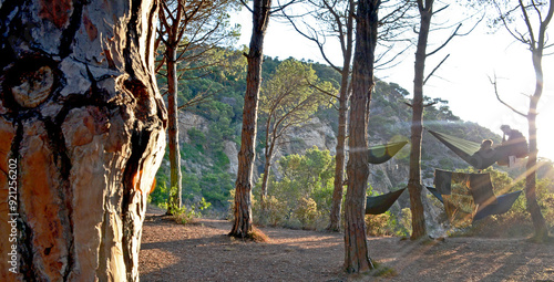 Mediterraner Wald photo