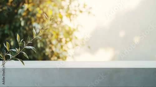 Serene Outdoor Garden Table with Bright White Concrete Surface and Soft Sunlight - Peaceful Nature-Themed Setting photo