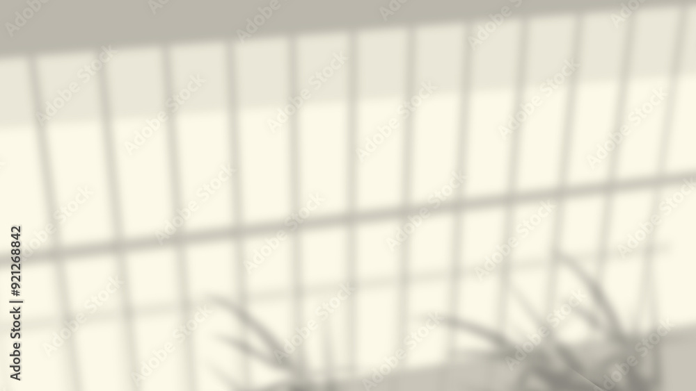 realistic widow shadow on wall natural perspective realistic widow shadow on wall natural perspective