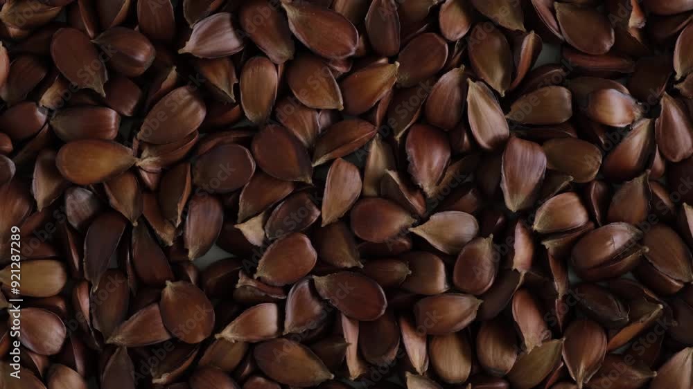 Roasted Beech nuts, top view. 4K Video, rotating. Fruits of European beech tree (Fagus sylvatica) used in alternative medicine for improvements in male potency. Roasted Beech nuts, top view. 4K Video, rotating. Fruits of European beech tree (Fagus sylvatica) used in alternative medicine for improvements in male potency.