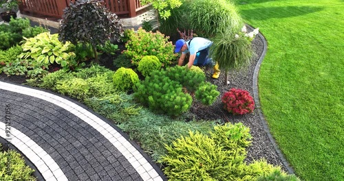Professional Gardener Performing Seasonal Garden Maintenance Aerial View.