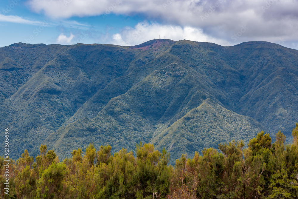 High mountain landscape around Fanal on the island of Madeira