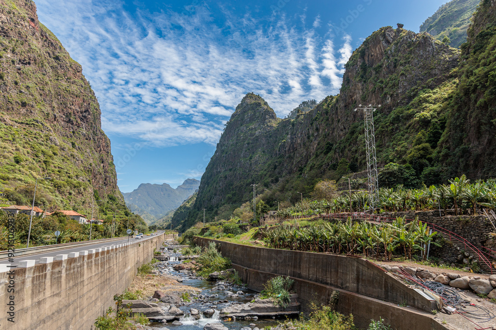 Banana plantations above the town of Ribeira Brava on the island of Madeira