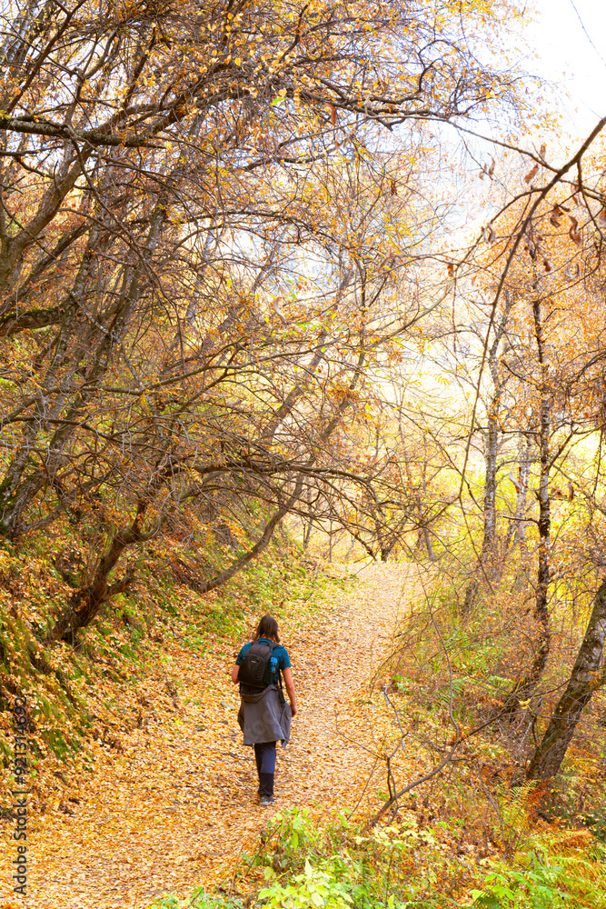 Dagestan, Russia - 23 October 2020: Sights of Dagestan. Tourist walking on the path passing colorful trees in autumn Dagestan, Russia - 23 October 2020: Sights of Dagestan. Tourist walking on the path passing colorful trees in autumn
