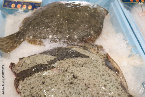 Fresh turbot fish for sale at a market stall