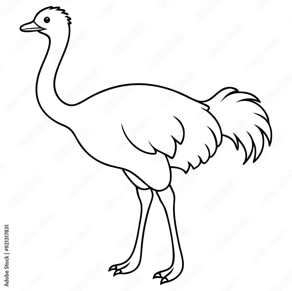 Ostrich Vector Illustration Outline Drawing Animal Art Education Kids Coloring Book Page Ostrich Vector Illustration Outline Drawing Animal Art Education Kids Coloring Book Page