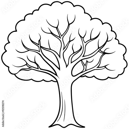 Vector Illustration Leafless Tree Outline Natural Design Element Educational Coloring Book