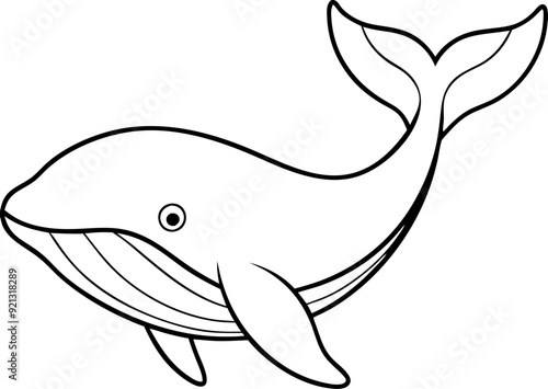 Illustration Black White Whale Vector Art Marine Animal Outline Kids Coloring Book Education