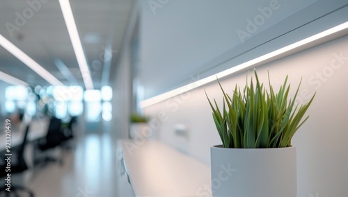Modern Reception Area With Bright Lighting and Minimalist Design