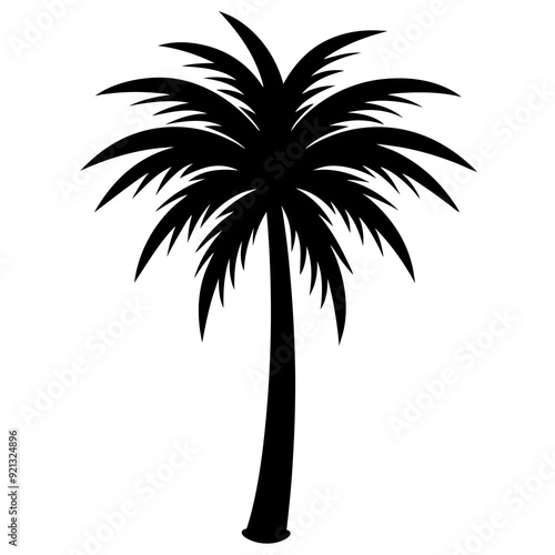 Palm tree black vector