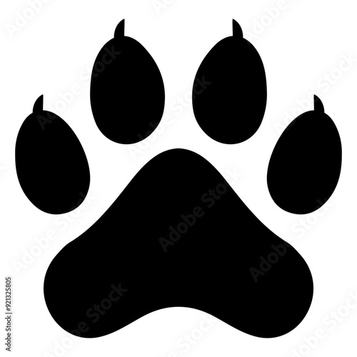 Animal paw