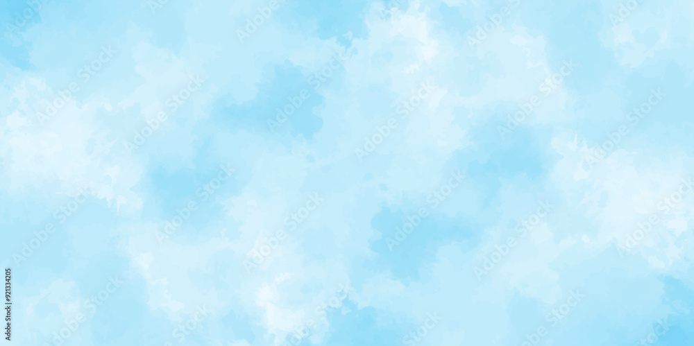 gradient light white sky background with fluffy clouds .Nature landscape in environment day horizon skyline view .cloudy in sunshine calm bright winter air background .	