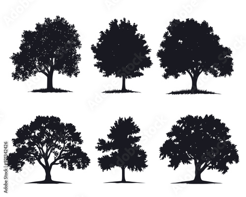 set of silhouette clipart of a large oak tree, Big collection of tree silhouettes isolated