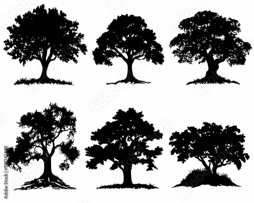 set of silhouette clipart of a large oak tree, Big collection of tree silhouettes isolated