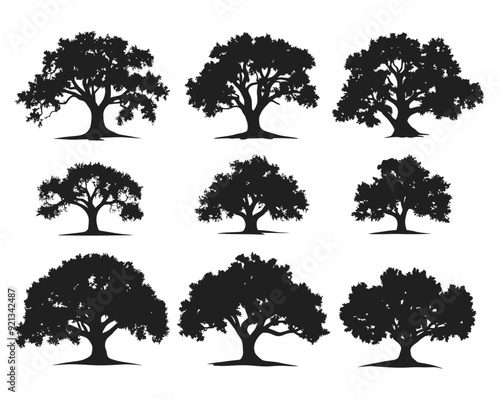 set of silhouette clipart of a large oak tree, Big collection of tree silhouettes isolated
