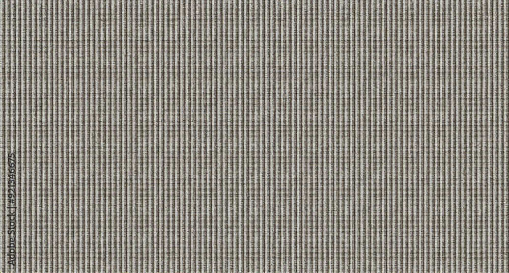 texture texture